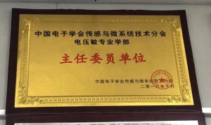 中国电子学会传感与微系统技术分会电压敏专业学部